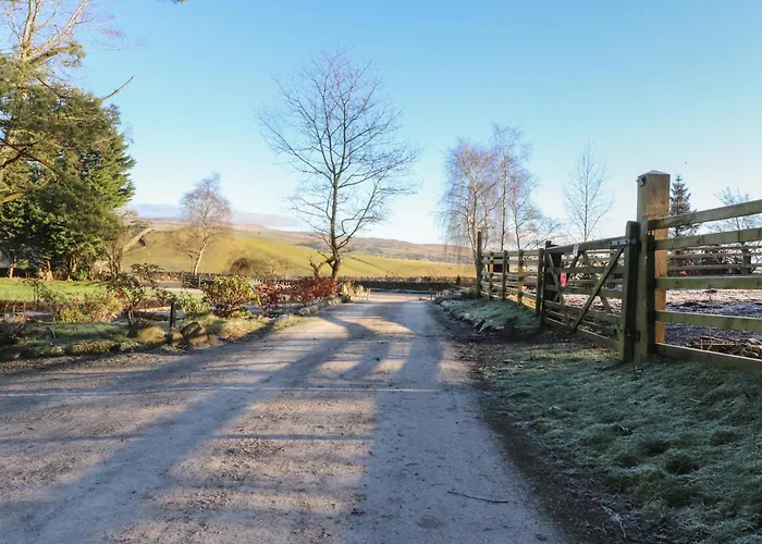 Willowbeck Nyaraló *